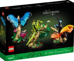 LEGO IDEAS - LA COLLECTION D'INSECTES #21342